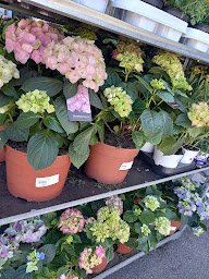 Photo n°31 de Bricomarché Chauny à Chauny (Magasin de poêles à bois)