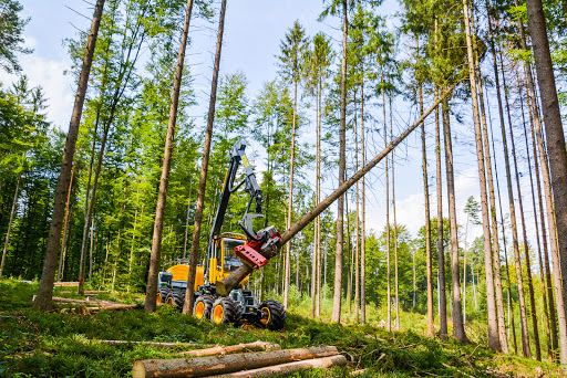 Broß Holz GmbH&Co.KG - Thumbnail