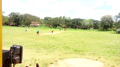 school