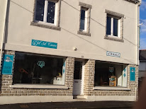 Jet Set Canine à Plomeur