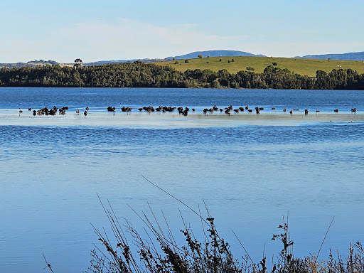 Lakeside Reserve - Thumbnail