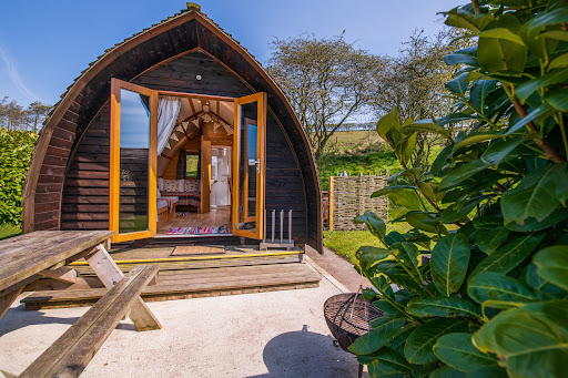 Humble Bee Farm Glamping, Camping, Holiday Cottages Book: Direct for Best Prices - Thumbnail
