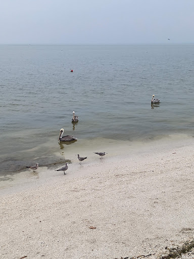 Playa manigua - Thumbnail