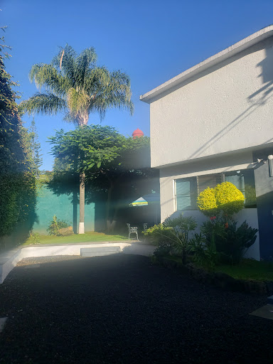 APM México - Visual