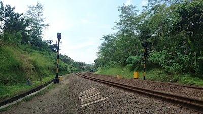 Photos of Reef Station Gandul