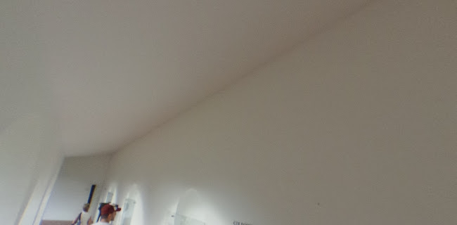 https://www.museoralli.com.uy/