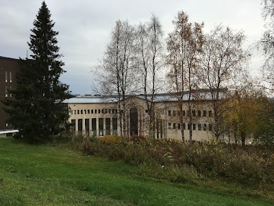 Photos of Arktikum
