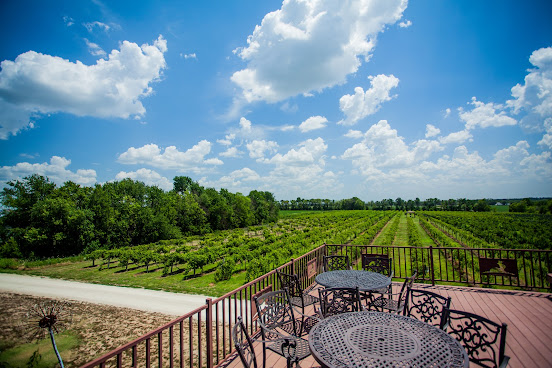 Grace Hill Winery by null