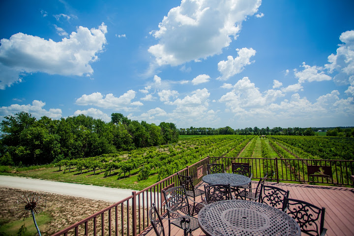 Grace Hill Winery by null