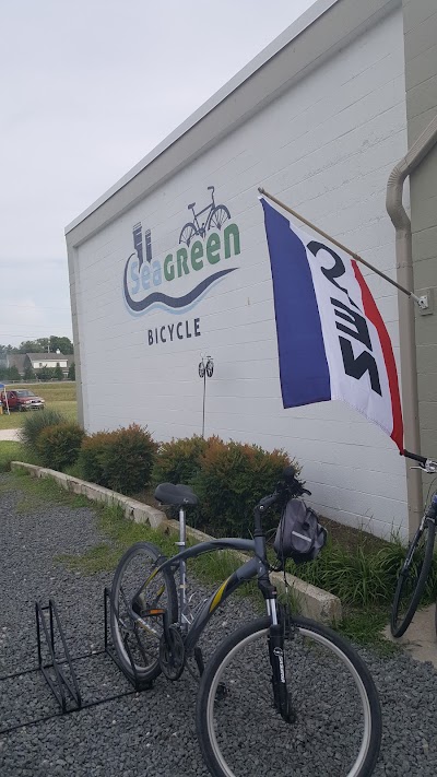 Seagreen Bicycle