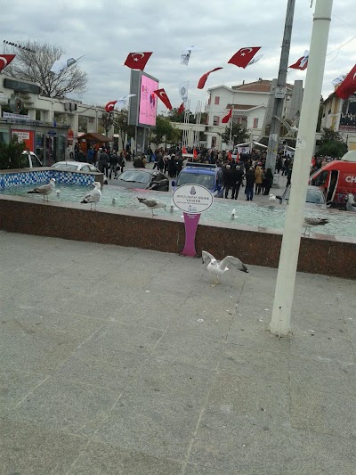 Photos of Bakirkoy Municipality