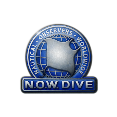 Photos of N.O.W. Dive
