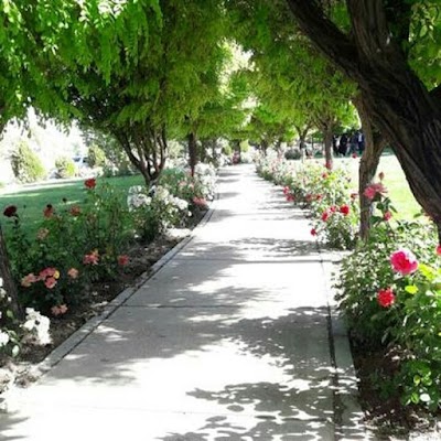 Photos of University of Maragheh
