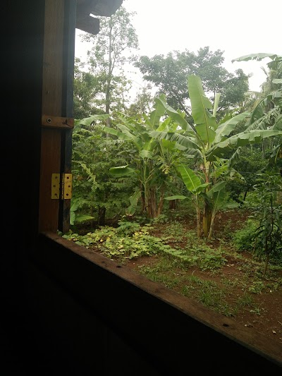 lodging