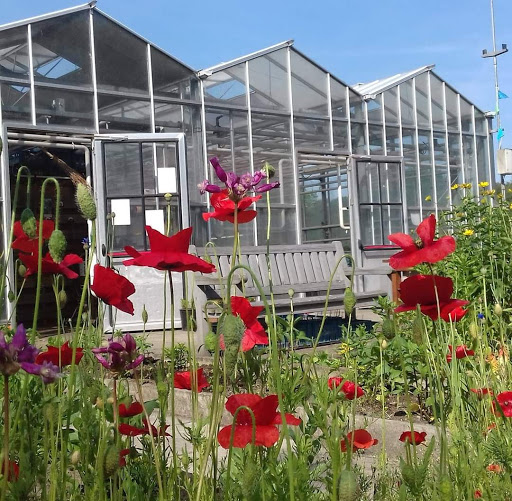 De Trans - Het Tuinhuis Gallery - Netherlands