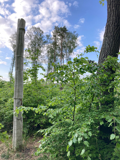 Kunstwanderweg - B. Vandecauter "Porcelain Tree" (2010)