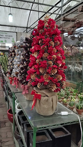 Número de telefone de Chácara Tropical de Plantas