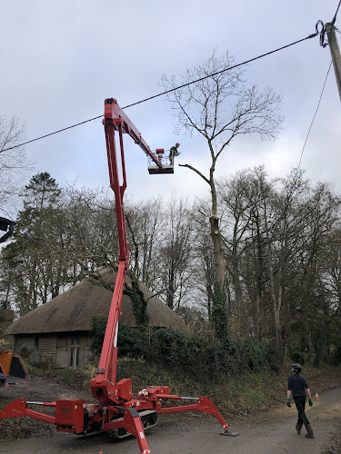 Test Valley Tree Services