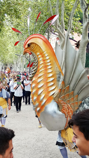 Down Tarragona - Visual