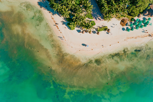 Living Riviera Maya Real Estate