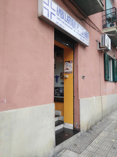 Ambulatorio Veterinario Bartolone - Thumbnail