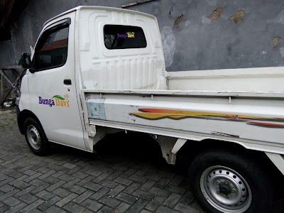 Photos of bunga davi