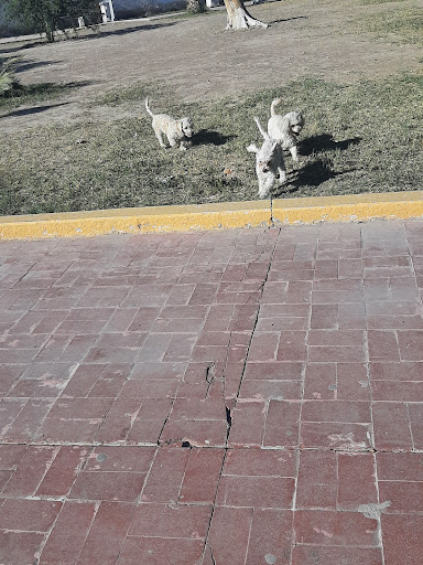 Luz Castillo - Visual