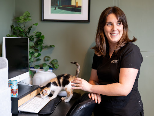 Manchester Cat Clinic