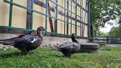 Bauernhof - Visual