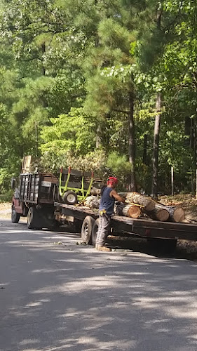 Custom Tree & Land Services