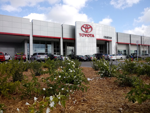 Courtesy Automotive Group Brandon
