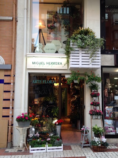 Photos of Floristeria Art Floral Miguel Herrera