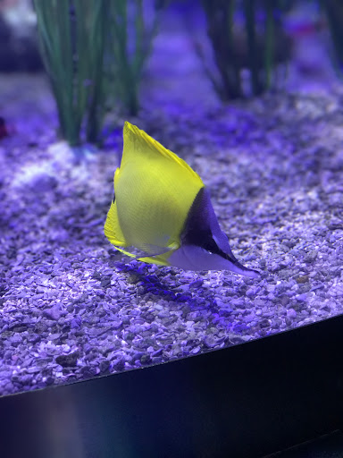 The aquarium people Gallery - United States