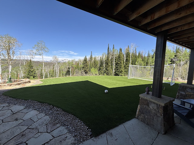 Indy Artificial Turf | Artificial Turf Installer by null