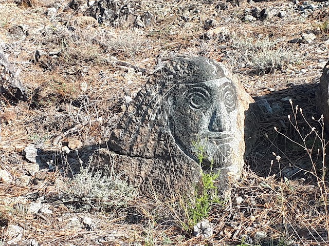 Parco di Galceti
