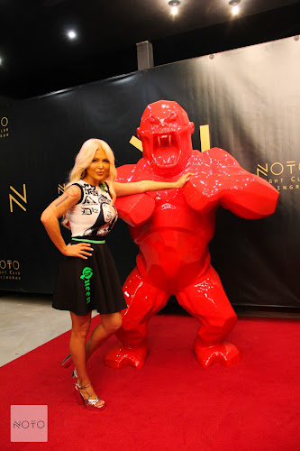 NOTO Night Club - Велинград