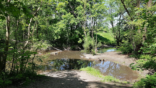 Biberteich