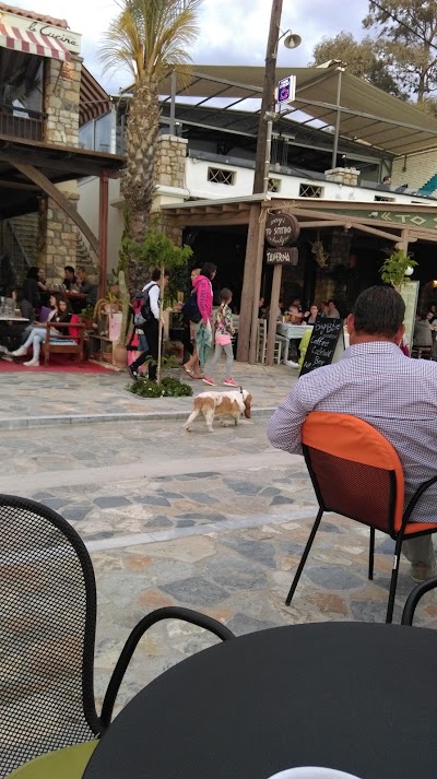 Photos of Elia Restaurant