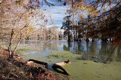 Lake Martin, LA