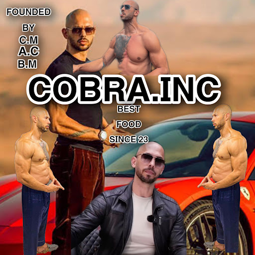 Cobra.INC