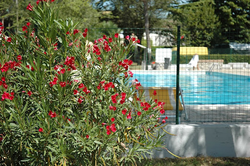 Camping Aquileia - Thumbnail