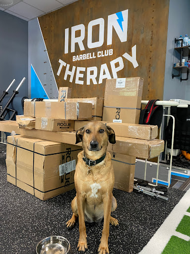 IRON THERAPY - Barbell Gym - Thumbnail