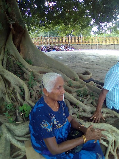 Photos of Seruwawila Dagaba