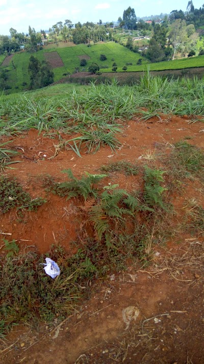 Photos of Karimenu Waters and Sanitation company Limited