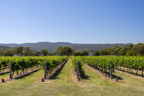 Art of Krupinski by null