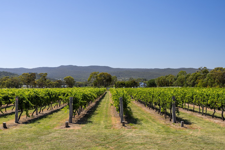 Art of Krupinski by null