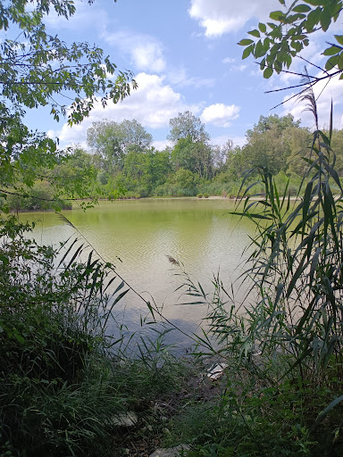 Etangs de la Serre ENS - Thumbnail