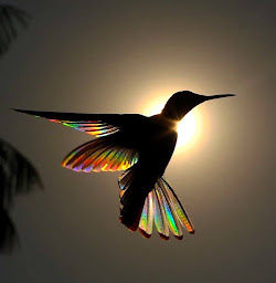 Photo n°16 de Quand l'âme agit... à Saint-Maurice-de-Lignon (Centre de bien-être)