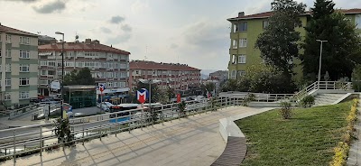 Fıstıkağacı