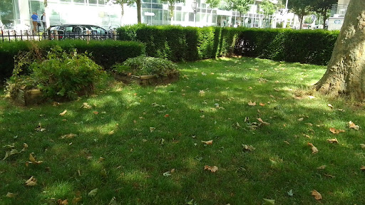 Square Maurice Schumann - Thumbnail